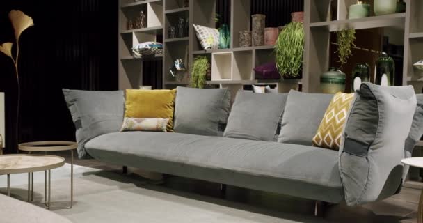 Modern Contemporary Minimalist Living Room Gray Furniture Luxury Modern House — Stockvideo