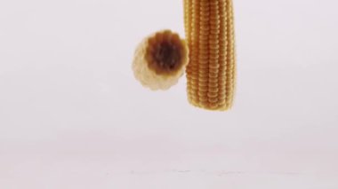 Two pieces of corn collide in the middle on a white reflective surface and isolated white background. Vegetarian food. studio shooting. Fresh corn.