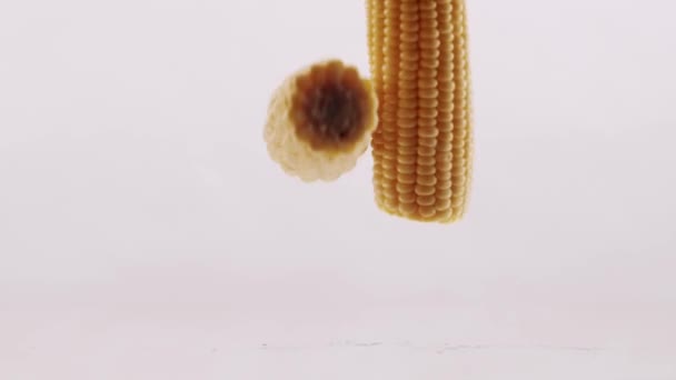 Two Pieces Corn Collide Middle White Reflective Surface Isolated White — Stockvideo