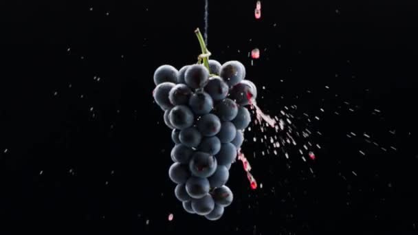 超遅い動きに孤立した黒の背景に新鮮な黒ブドウの回転 ワインのコマーシャルのための美しいストック映像 高級ブドウを味わう 高品質のクリエイティブ ヴァイン 熟したブドウの上を赤ワインが流れる — ストック動画