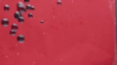 Fresh berries falling on wet surface in dark studio. Slow motion from above static shot of black and red currants falling on red wet surface and making splashes