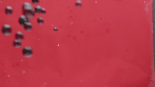 Fresh Berries Falling Wet Surface Dark Studio Slow Motion Static — Stock video