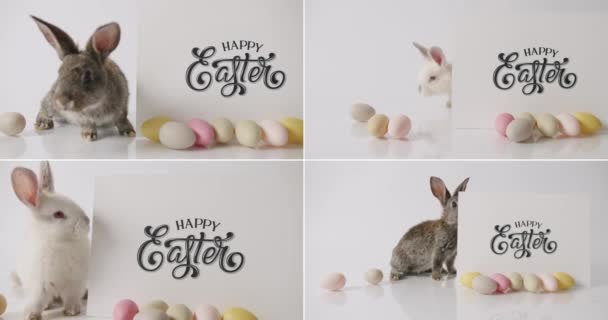 ハッピーイースターコンセプトのための多くの映像からコラージュ 多くの色の卵と隔離された背景に小さなバニー ハッピーイースターのコンセプト 小さなウサギが碑文で遊んでいますハッピーイースター — ストック動画