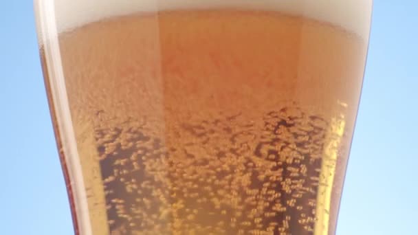 Piwo Wlewa Się Czystego Szkła Makro Strzał Drobnych Pęcherzyków Wznoszących — Wideo stockowe