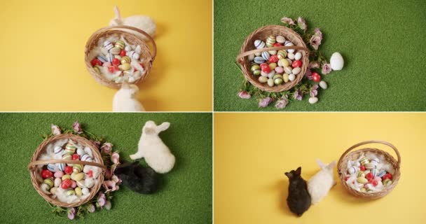 ハッピーイースターコンセプトのための多くの映像からコラージュ 多くの色の卵と隔離された背景に小さなバニー ハッピーイースターの日 面白いかわいいふわふわのウサギ 素敵な動物の概念 イースターの日の祭り — ストック動画