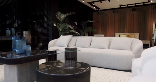 Luxusní Moderní Dům Interiér Rohovou Pohovkou Židlemi Knihovnou Módní Nábytek — Stock video