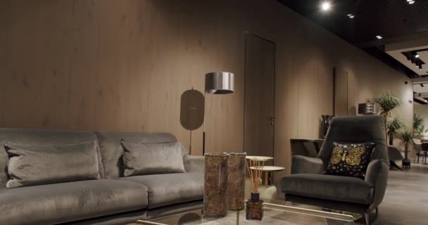 Сучасна Мінімалістська Вітальня Сірими Меблями Дерев Яною Стіною Luxury Modern — стокове відео