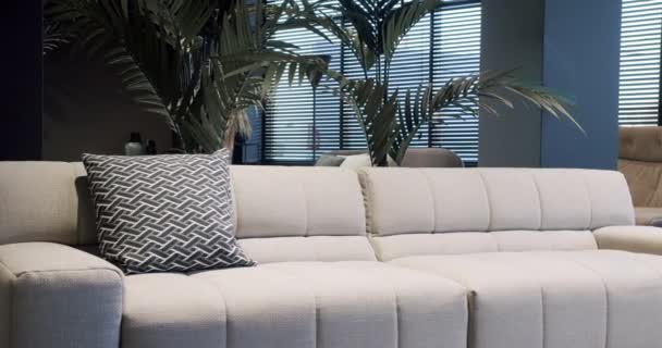 Modern Minimalist Ruang Tamu Dengan Beige Dan Furnitur Putih Minimalis — Stok Video