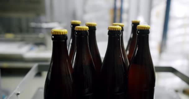 Kapsylering Fulla Ölflaskor Maskiner För Kapsylering Flaskor Fabrik Bryggeri Koncept — Stockvideo