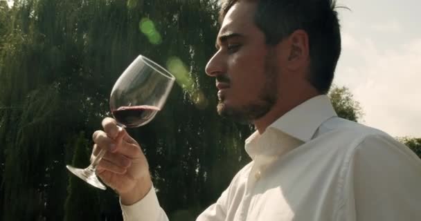 Positive Sommelier Mixing Red Wine Glass Evaluating Color Tasting Man — Vídeos de Stock