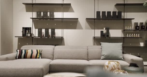 Moderna Sala Estar Minimalista Contemporánea Con Muebles Grises Interior Casa — Vídeos de Stock
