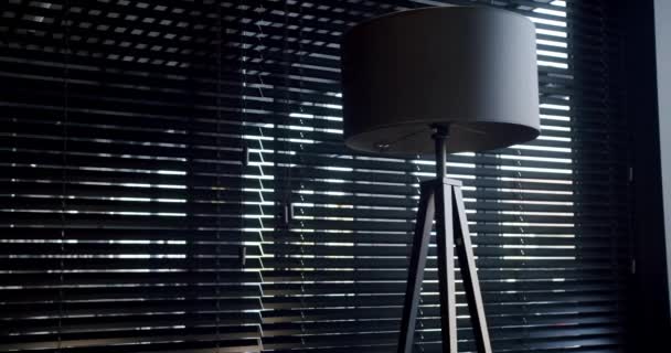 Modern Black Lamp Black Minimalist Circular Floor Lamp Next Window — Wideo stockowe