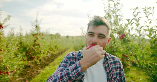 Male Farmer Eating Apple Orchard Zoom Handheld Shot Adult Bearded — Vídeo de Stock