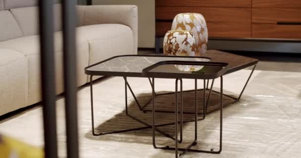 Intérieur Scandinave Avec Canapé Tissu Table Moderne Mobilier Rangement Salon — Video