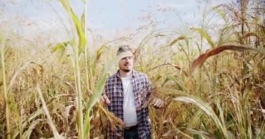 İşletme tarım hasat konsepti. Kalite kontrol yeşil süpürge çiftliği. yeşil buğday hasadı tarım endüstrisi. Genç çiftçi tarlada yürüyor. Tarım sektörü kavramı.