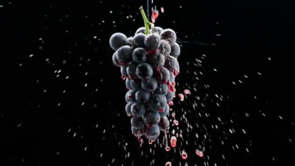 酒水广告中漂亮的库存镜头 尝尝豪华葡萄的味道 优质创意葡萄 红葡萄酒在成熟的葡萄上流动 — 图库视频影像