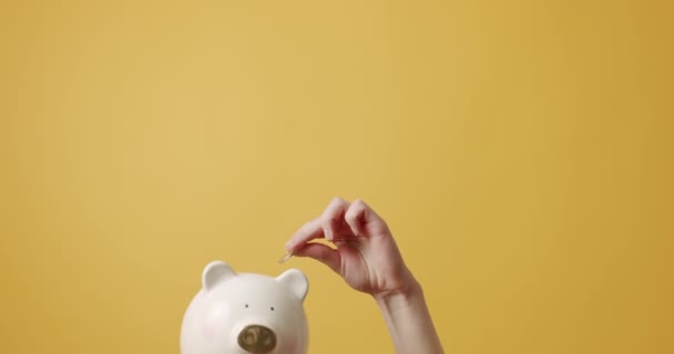 Женщина Урожая Показывает Коробку Деньгами Кладет Монету Статический Снимок Анонимной — стоковое видео