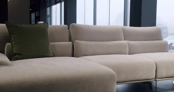 现代简约的客厅 灰色家具 奢华的现代住宅与角落索法 椅子和书架 时尚的家具 舒适的现代家具设计 — 图库视频影像
