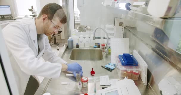과학자들은 Microbiology Samples Science Lab Medicine Biotechnology Development 실험실에서 — 비디오