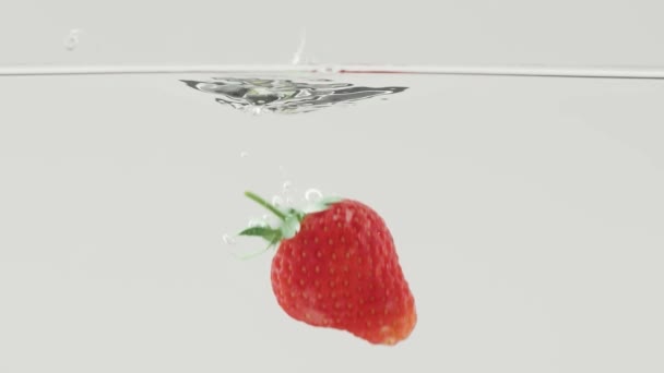 Vers Aardbeienfruit Gedropt Water Schot Witte Achtergrond Falling Verse Aardbei — Stockvideo