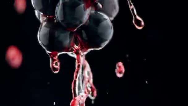 Fresh Black Grapes Rotation Black Background Grapes Close Loop Motion — Stock Video