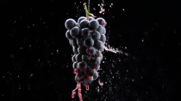 Fresh Black Grapes Rotation Isolated Black Background Super Slow Motion — Stock Video