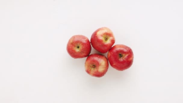 Red Apples Jump Fall Natural Fruits Isolated White Background Malus — Stockvideo