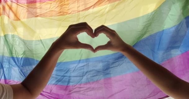 ゲイとレズビアンのプライドLgbtフラグ 手をサポートする虹のフラグが飛んでの前に心のサインと波を作る 愛のサインだ Lgbtのお祝いイベントシンボル 愛は平等だ Lgbtの権利 人間関係 — ストック動画