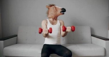 Komik Sağlık ve Spor Konsepti. Esprili esnemeler. At maskeli komik bir adam evdeki beyaz koltukta ağırlık çalışması için egzersiz yapıyor. Evde komik bir spor salonu var. Komik ev egzersizi.