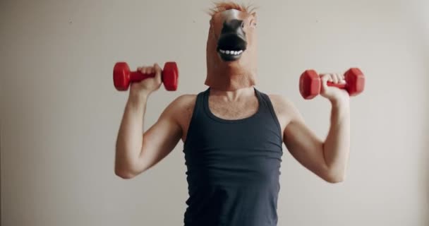 Grappige Man Met Paardenmasker Doen Oefening Met Gewichten Voor Handtraining — Stockvideo