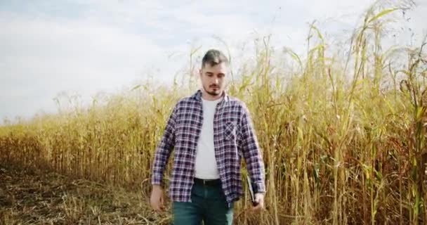 Giovane Agricoltore Camminare Una Posa Agricoltura Campo Concetto Agroalimentare Concetto — Video Stock