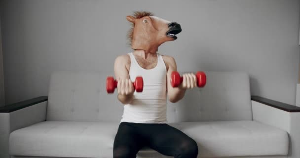 Fogalma Vicces Egészség Fitness Humoros Nyújtás Vicces Férfi Lómaszkkal Aki — Stock videók