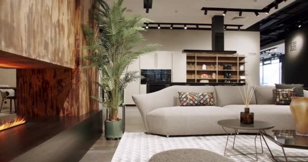 Luxury Modern House Wnętrze Białej Tkaniny Sofa Krzesła Półka Książki — Wideo stockowe