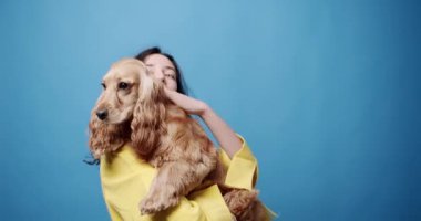 Şık giyinmiş neşeli genç esmer İngiliz Cocker Spaniel köpeğini kucaklıyor ve dişlek gülüşüyle kameraya bakıyor sonra da evcil hayvanı mavi arka plana hafifçe fırlatıyor.