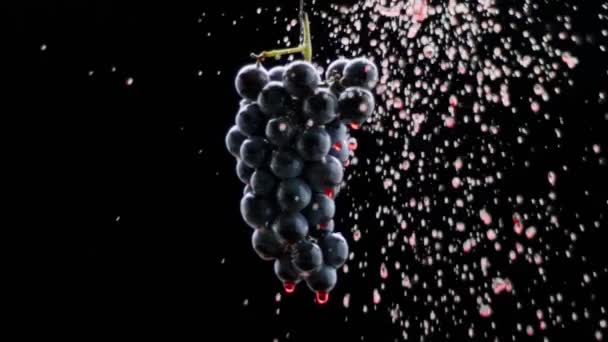 超遅い動きに孤立した黒の背景に新鮮な黒ブドウの回転 ループ モーション ワインのコマーシャルのための美しいストック映像 高級ブドウを味わう 熟したブドウの上を赤ワインが流れる — ストック動画