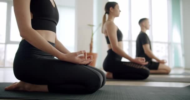 フィットネススタジオで健康的なライフスタイルを楽しみます 座っ足蓮のポーズ作品をナマステシンボル手 ヨガクラスは屋内で一緒に瞑想 — ストック動画