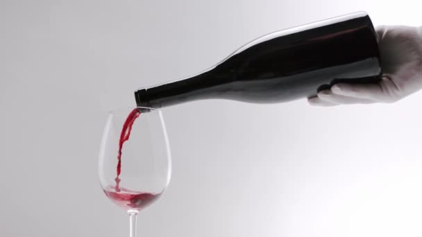 Mans Hand White Gloves Pours Red Wine Black Bottle Transparent — Stock Video