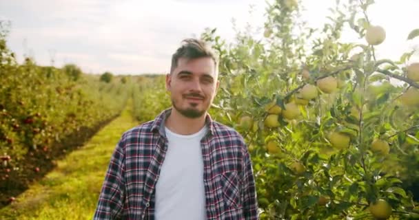 Férfi Farmer Pózol Mosolyog Almás Gyümölcsösben Kézi Felvétel Felnőtt Szakállas — Stock videók