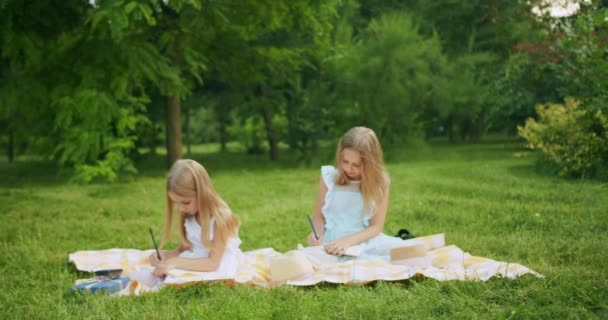 Okouzlující Dívky Deníky Piknikové Dece Parku Klidný Předpubertální Sestry Světlými — Stock video