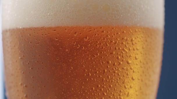 Tropfen Auf Ein Glas Bier Und Schaumiges Bier Ein Glas — Stockvideo