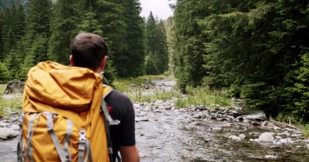 Вид Сзади Активного Здорового Самца Рюкзаком Идущего Сосновом Лесу Человек — стоковое видео