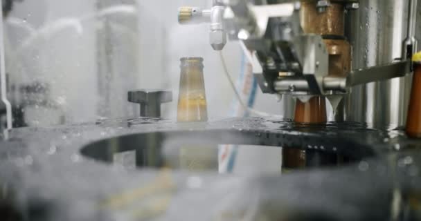 一家工厂里的一盒瓶褐色啤酒沿着传送带流动 啤酒瓶里装的是自动啤酒 工厂的现代技术 啤酒概念 — 图库视频影像