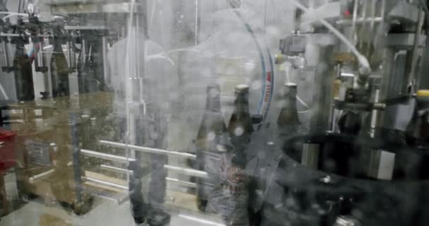 Taşıma Bandı Boyunca Ilerleyen Bir Fabrikada Kahverengi Bira Şişeleri Bira — Stok video