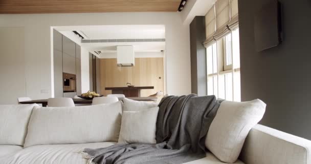 Konforlu Beyaz Koltuk Mobilyaları Olan Modern Minimalist Oturma Odası Köşedeki — Stok video