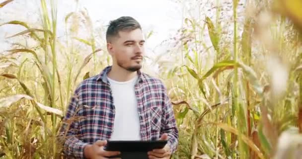Young Farmer Work Using Digital Tablet Field Agriculture Business Agriculture — Vídeo de Stock