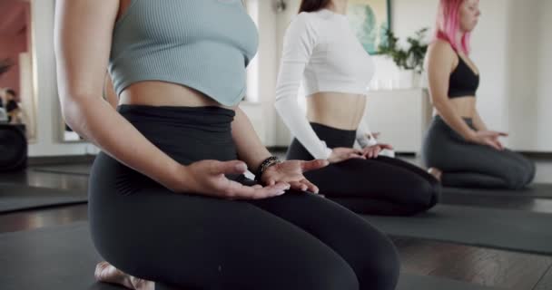 Jóvenes Deportistas Atractivos Practicando Clases Yoga Con Instructor Ejercicio Estiramiento — Vídeo de stock