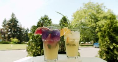 Limon, narenciye, portakal, greyfurt, nane, su ve buzla dolu ferahlatıcı limonata içecekler. Bir bardak limonata. Ferahlatıcı limon.
