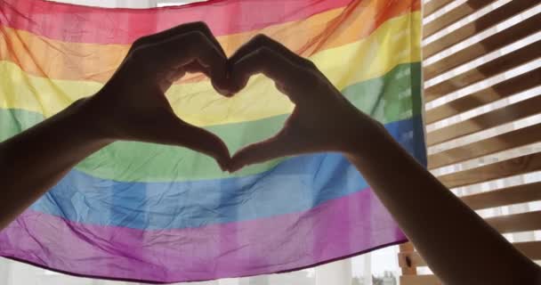 Gay Lesbian Pride Lgbt Flag Символ Празднования Лгбт Любовь Равна — стоковое видео
