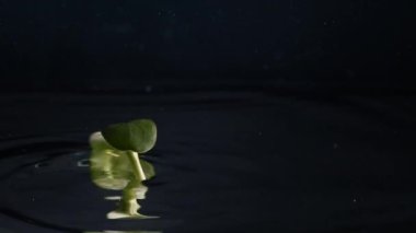Microgreen falling in crystal clear water. Slow motion static shot of fresh organic microgreen falling in clean water and floating on surface on black background