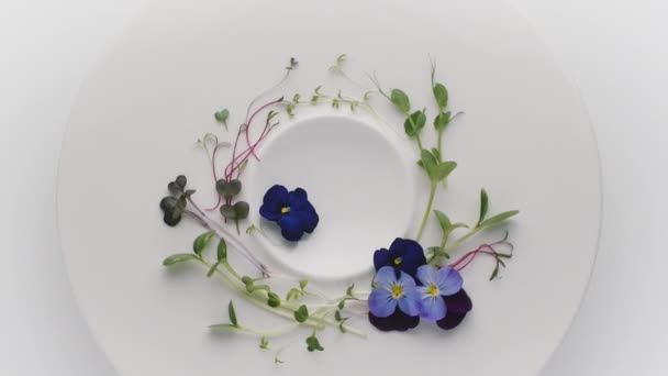 Mikrozielone Niebieskim Kwiatem Organicznym Zdrowe Odżywianie Żywność Ekologiczna Wieloma Liśćmi — Wideo stockowe